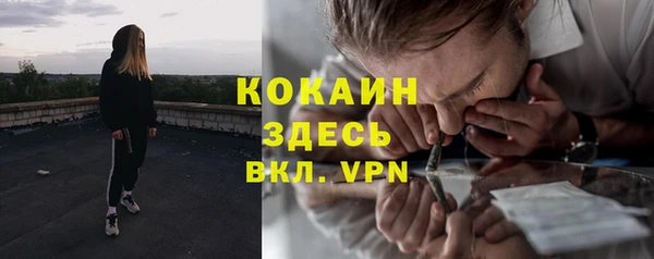 МДПВ Няндома