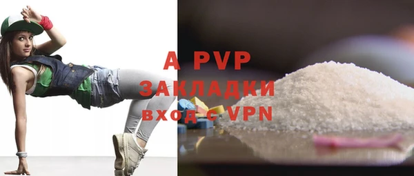 тгк Новозыбков