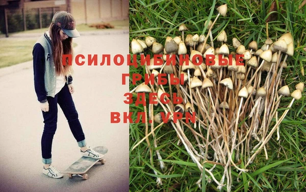 mix Новодвинск