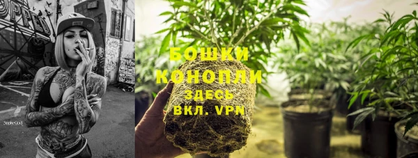 mix Новодвинск