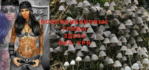 mix Новокубанск