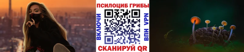 Псилоцибиновые грибы Cubensis  блэк спрут онион  Алупка 